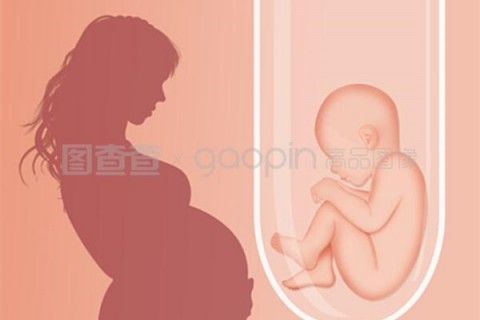 http://hy-ly.com/post/208.html|福州人工试管